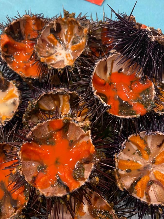 Résidence San Paolisa Hyères Esterno foto